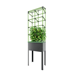 Bio Green City Trellis for Jungle City Heidelberg Raised Planters