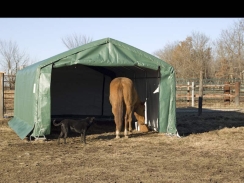 Rhino Shelter 12 x 20 Foot House Style Livestock Shelter