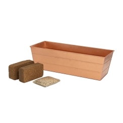 Achla 24 x 11 Inch Bloom Box Garden Growing Kit