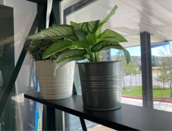 Janssen 15 Foot Top Shelf for Victorian Greenhouses