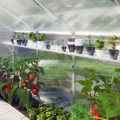 Hoklartherm Top Shelf for Nelke Greenhouses