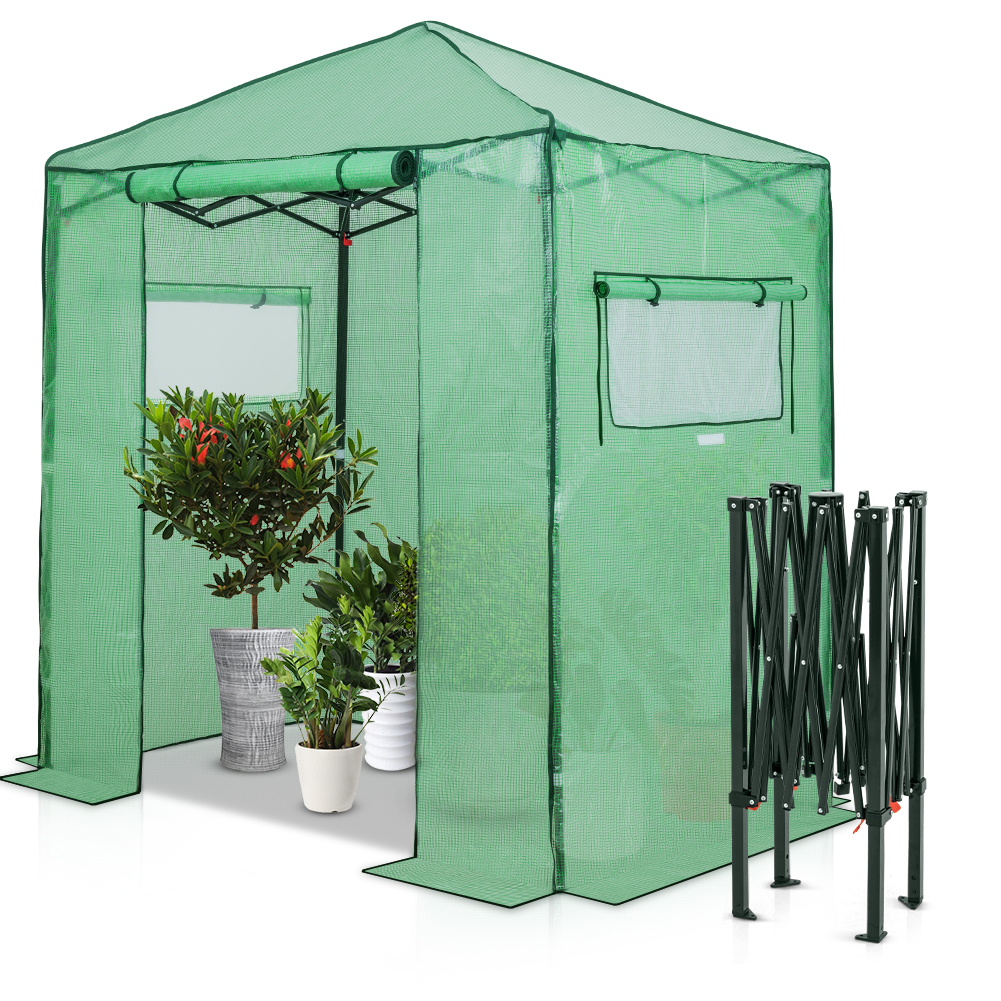 Eagle Peak 6 x 4 Foot Portable Walk-In Greenhouse