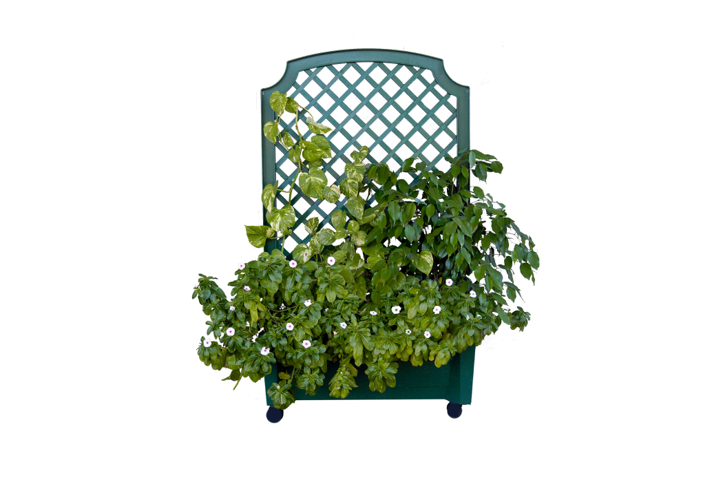Exaco Calypso Planter with Trellis
