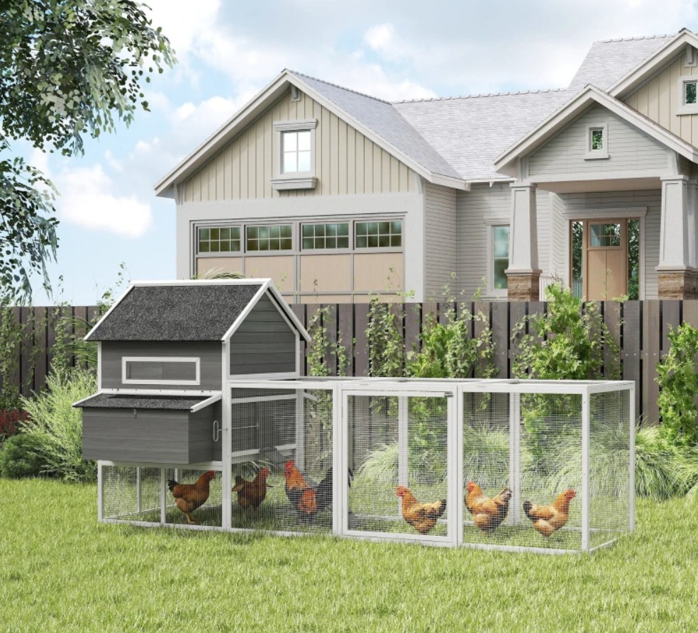 PawHut 137 Inch D51-099V02 Wooden Chicken Coop with Nesting Box