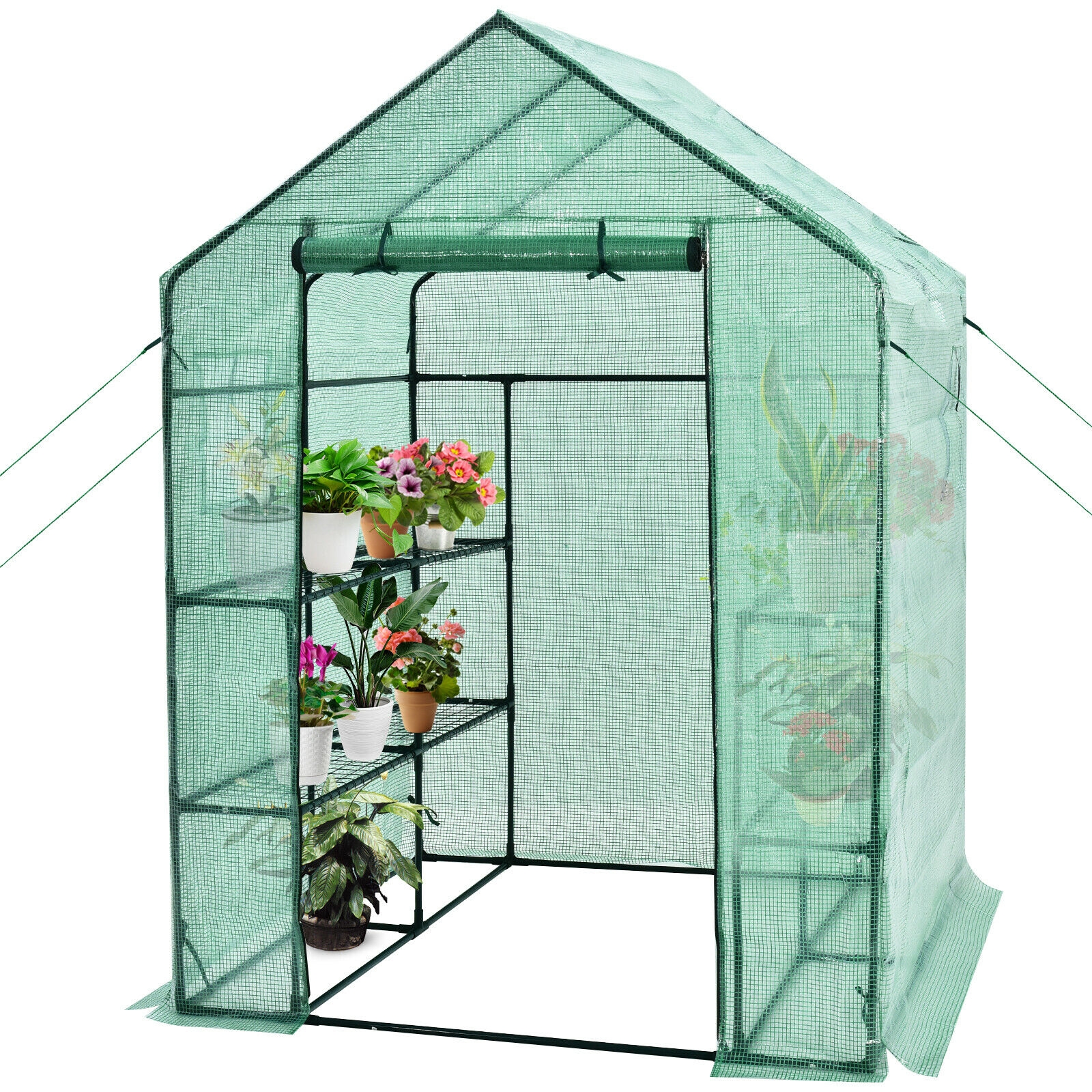 Costway 57 x 57 Inch Walk-In Greenhouse with Observation Windows