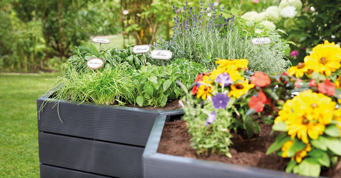 Graf Ergo XL Modular Raised Garden Bed