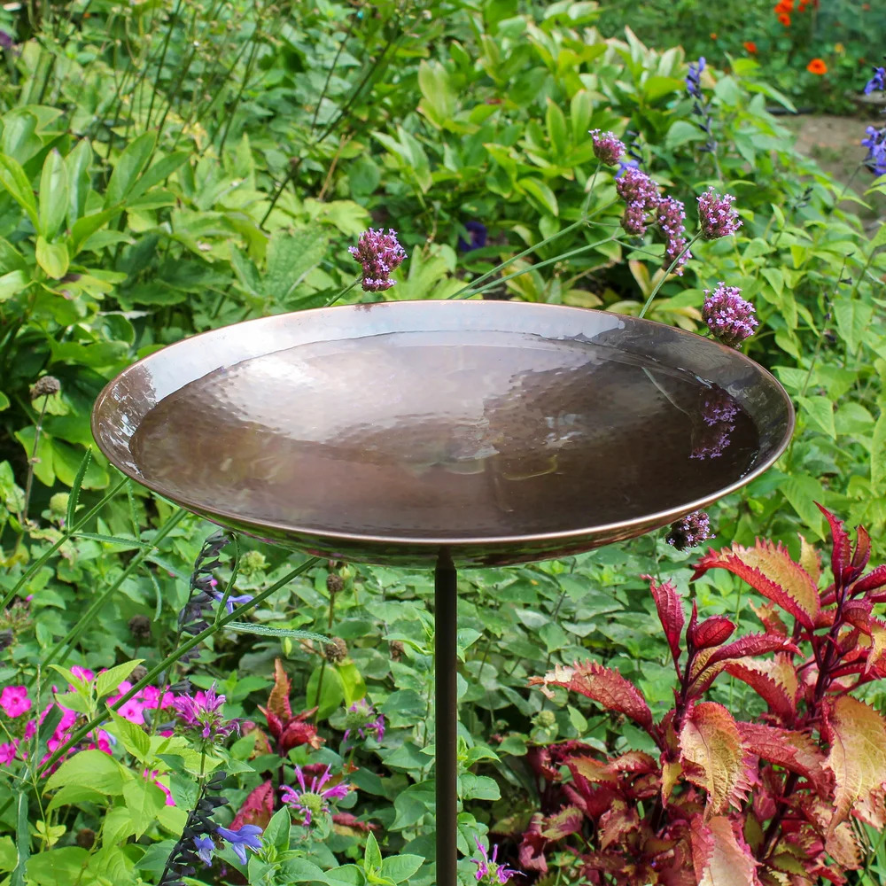 Achla 14 Inch Burnt Copper Birdbath