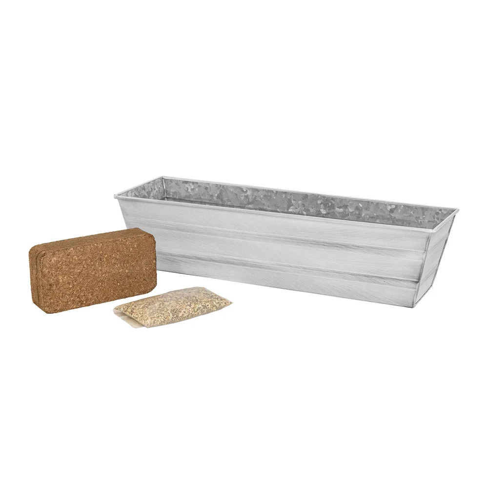 Achla 22 x 6 Inch Bloom Box Growing Kit