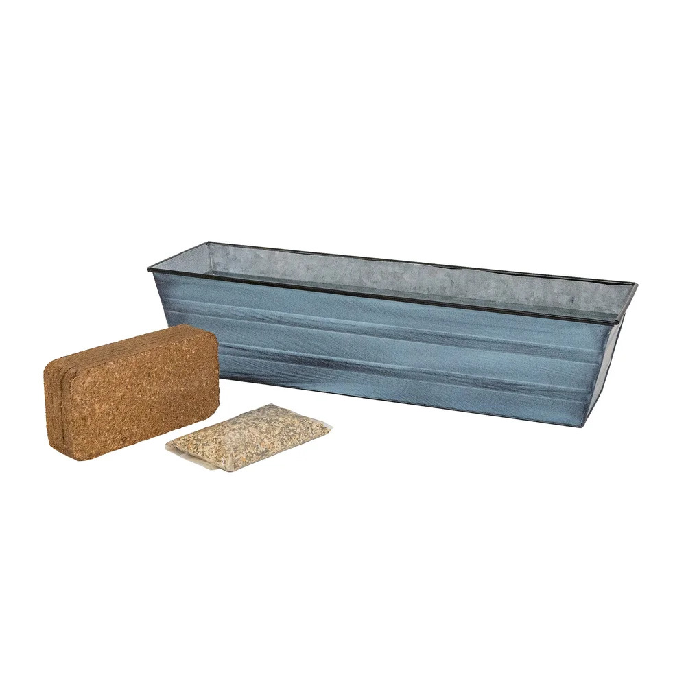 Achla 22 x 6 Inch Bloom Box Growing Kit