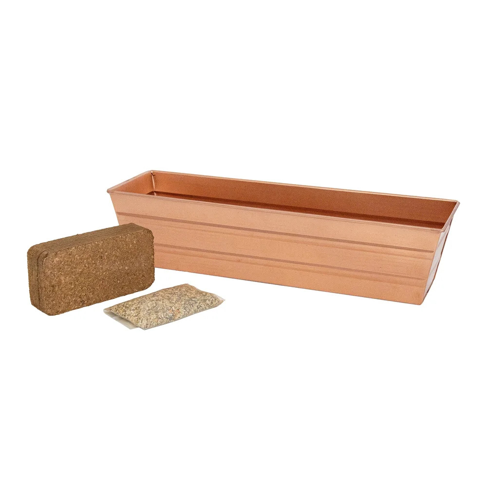 Achla 22 x 6 Inch Bloom Box Growing Kit