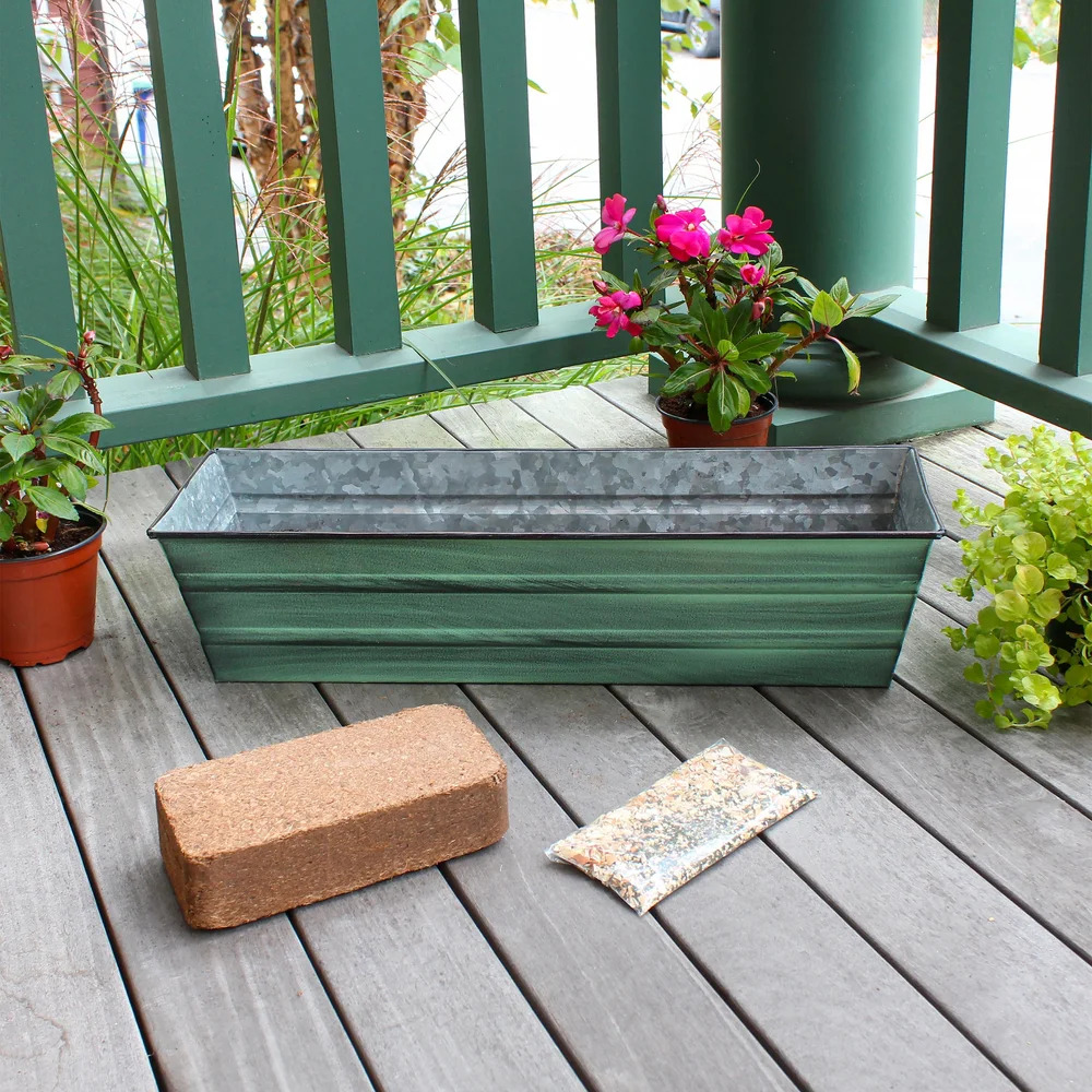 Achla 22 x 6 Inch Bloom Box Growing Kit