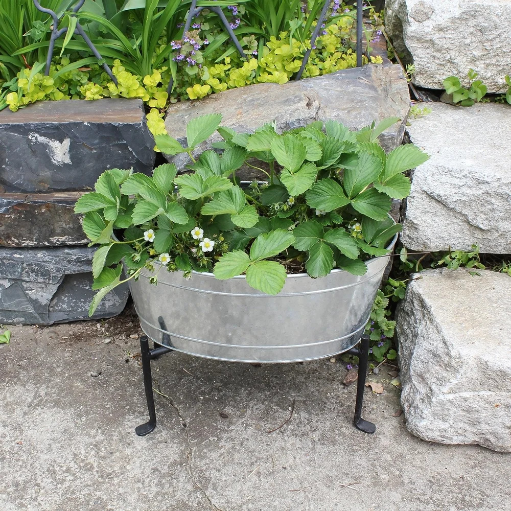Achla 16 x 10 Inch Oval Galvanized Steel Tub with Stand