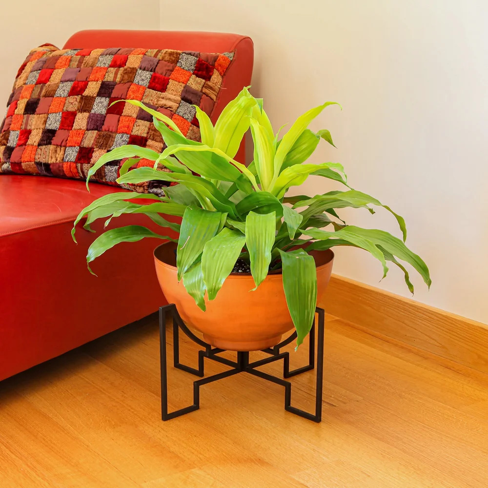 Achla 16 Inch Jane I Planter