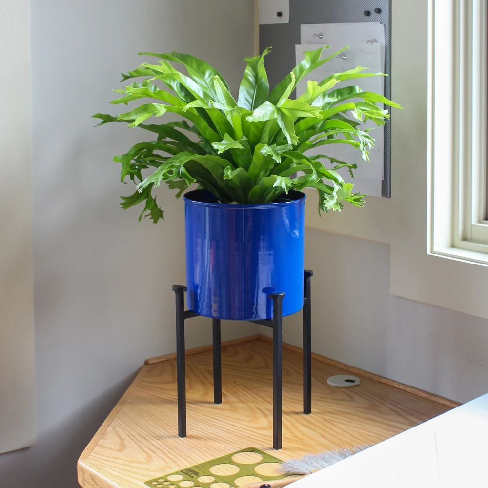 Achla 8 Inch Eileen Cylinder Planter