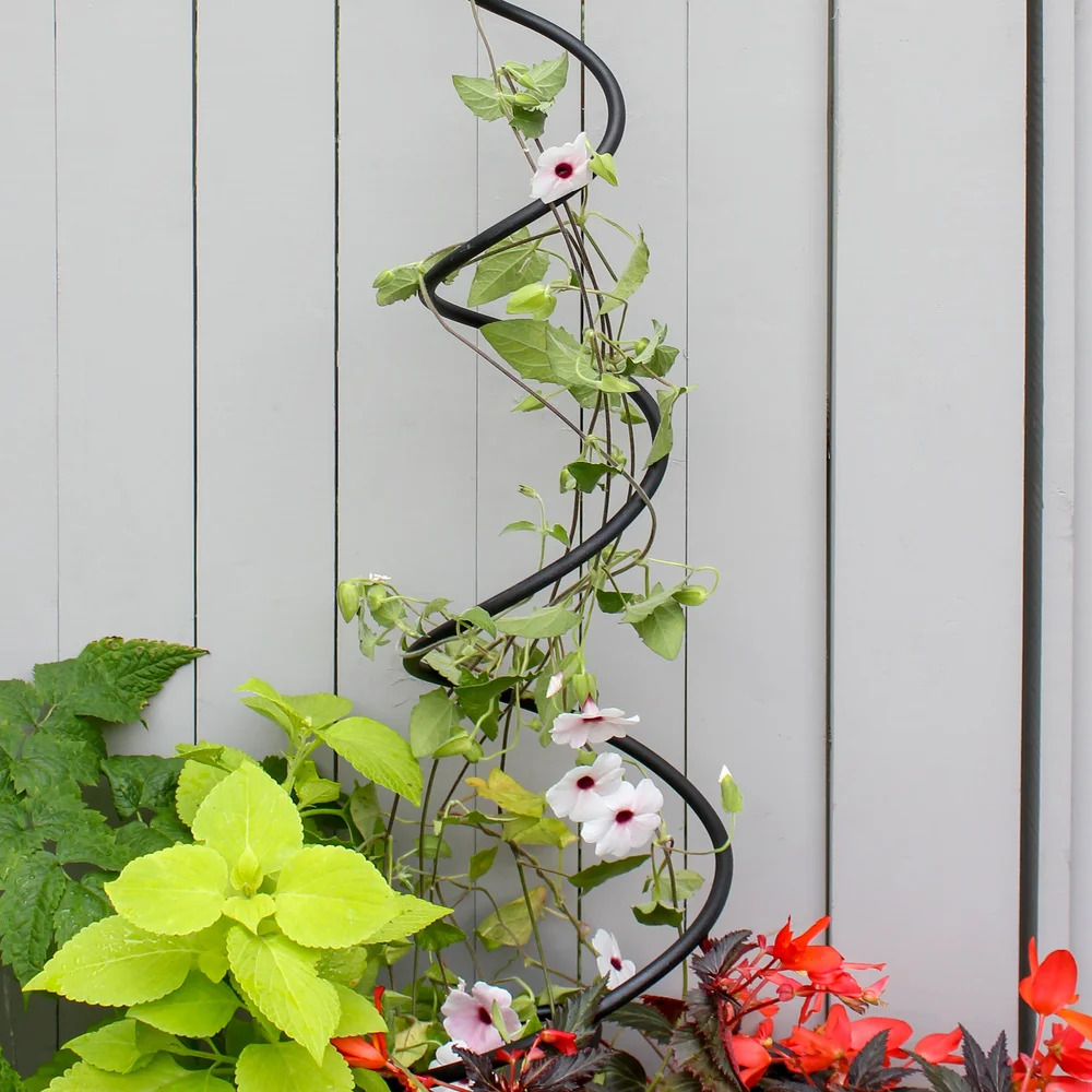 Achla 8 Inch Spiral Trellis
