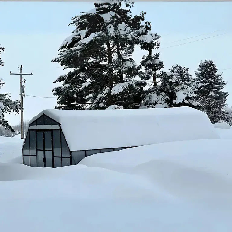 Grandio 12 x 24 Foot Summit Greenhouse