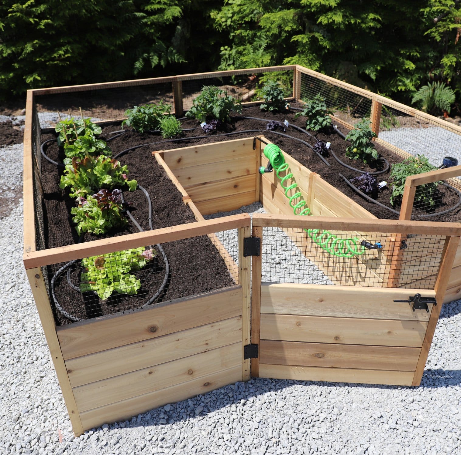 Outdoor Living Today 8 x 8 Foot Cedar Raised Garden Bed with Options