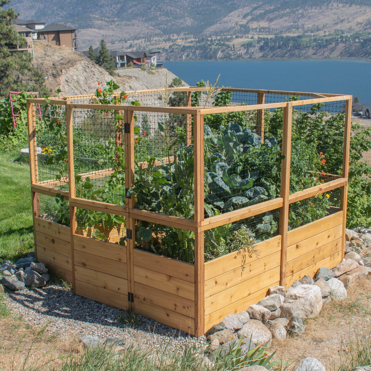 Outdoor Living Today 8 x 8 Foot Cedar Raised Garden Bed with Options