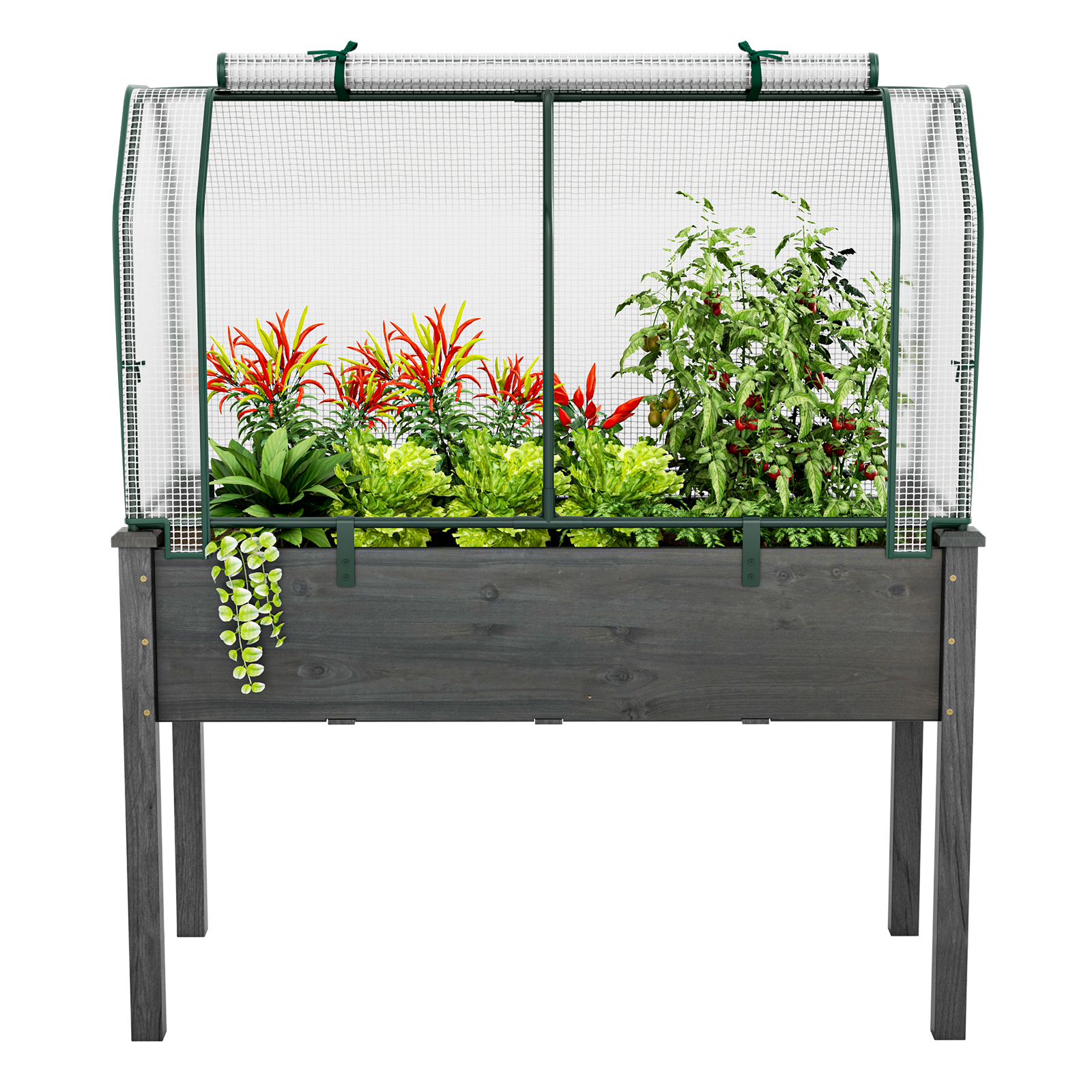 Costway 48 x 22 Inch Mini Roll-Up Door Greenhouse