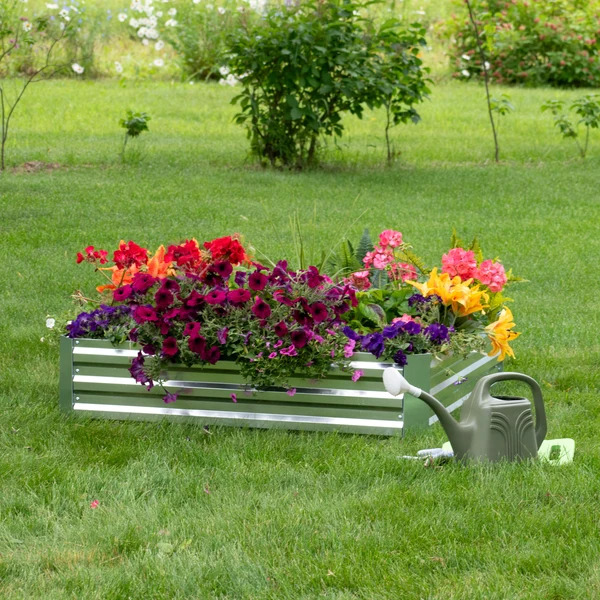 Sunnydaze 4 x 4 Foot Square Galvanized Steel Raised Garden Bed