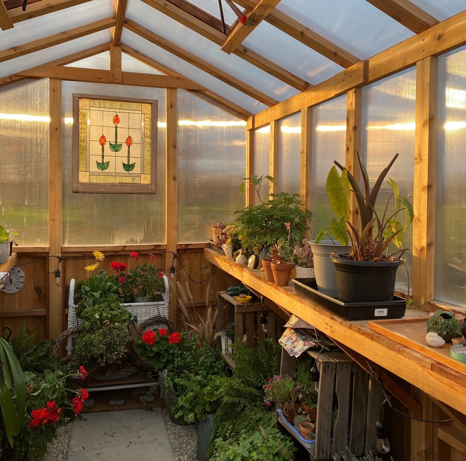 Outdoor Living Today 8 x 12 Cedar Greenhouse