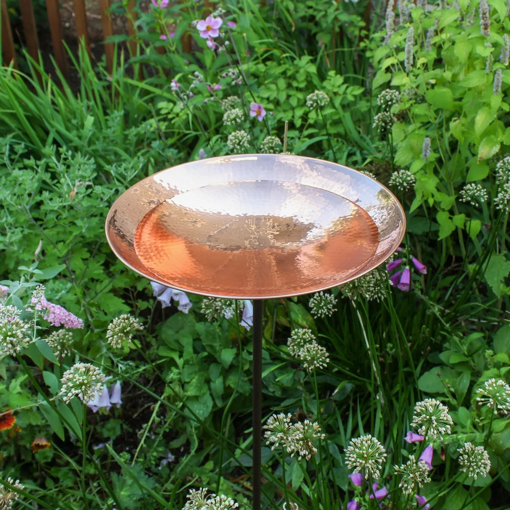Achla 13 Inch Polished Copper Birdbath