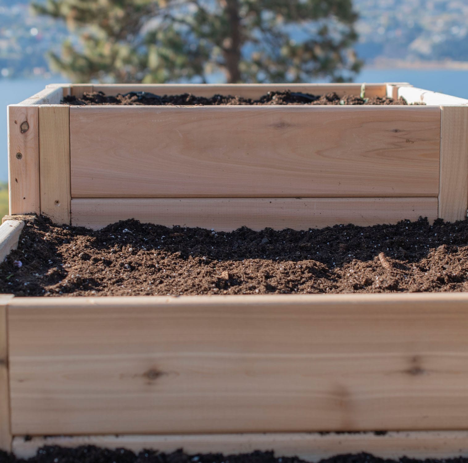 Outdoor Living Today 5.5 x 2 Foot Tiered L Cedar Raised Garden Bed