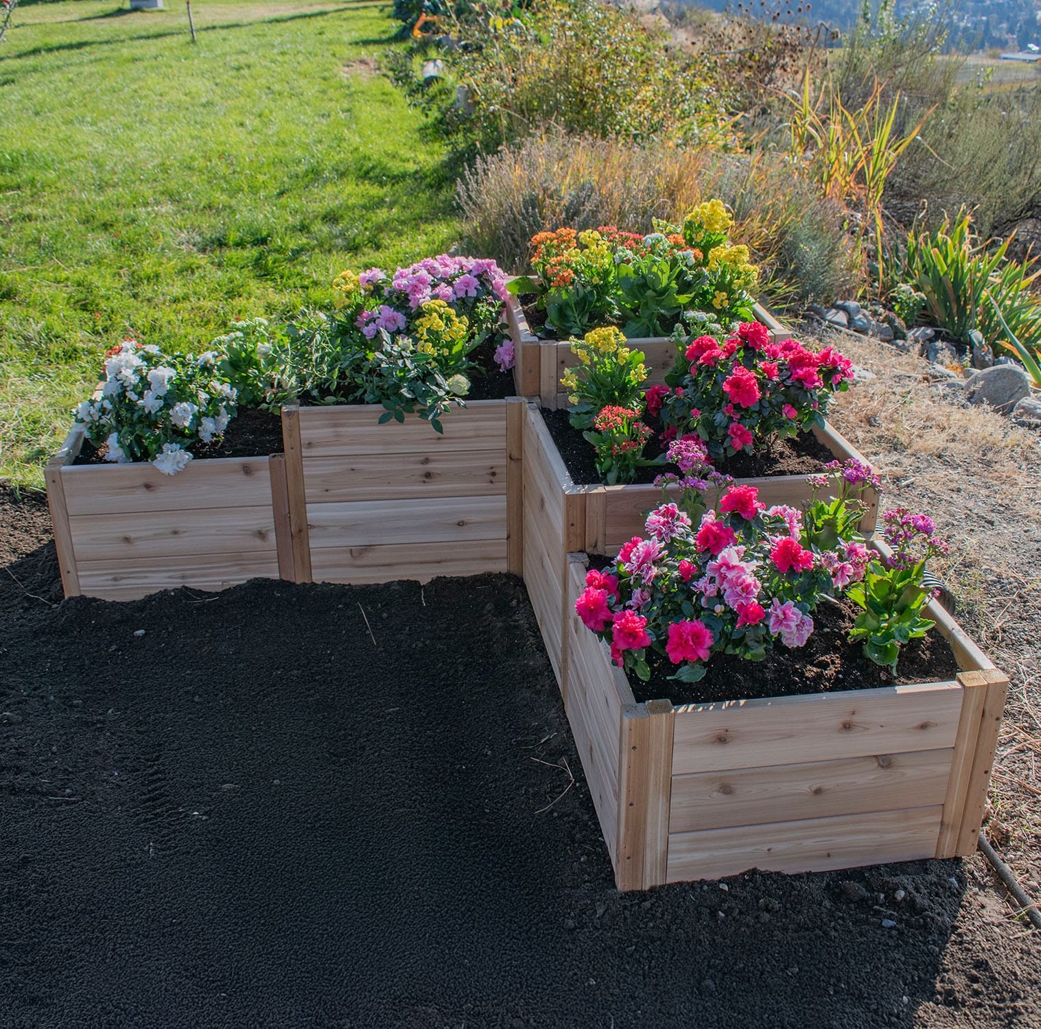 Outdoor Living Today 5.5 x 2 Foot Tiered L Cedar Raised Garden Bed