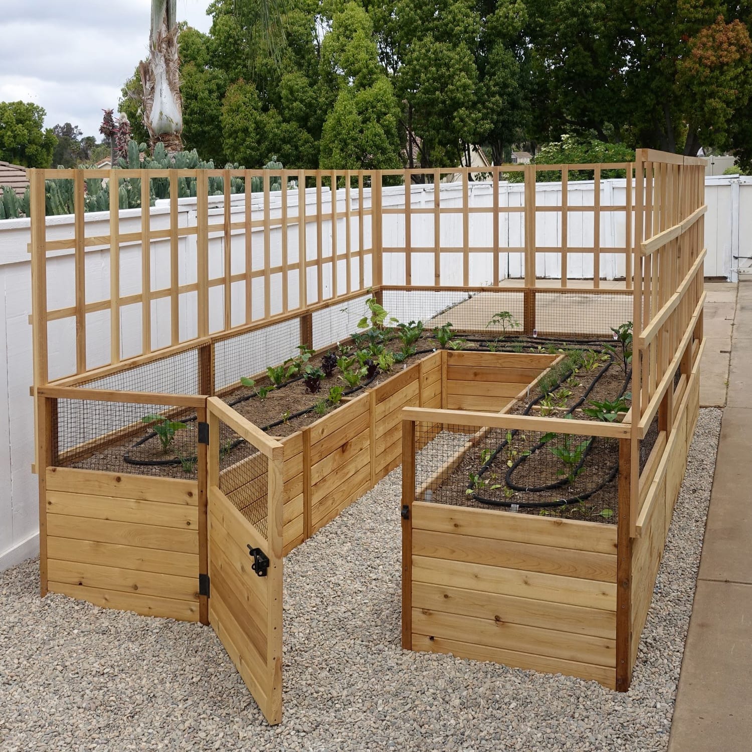 Outdoor Living Today Single Trellis Add-On for Standard 12 Foot Raised Garden Beds