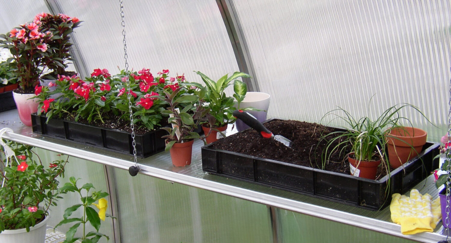 Hoklartherm Heavy Duty Seed Trays for Riga Greenhouses