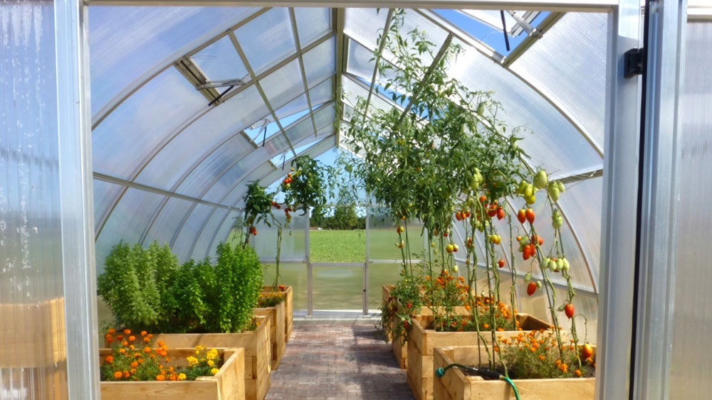 Hoklartherm 14 x 29 Foot Riga XL 9 Greenhouse