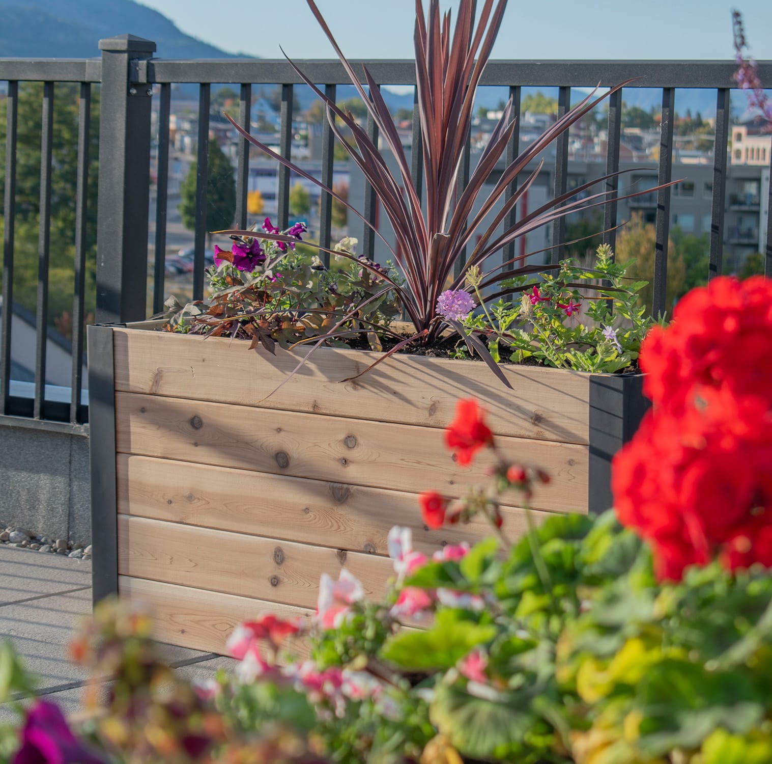 Outdoor Living Today 4 x 1.5 Foot Urban Cedar Raised Garden Bed
