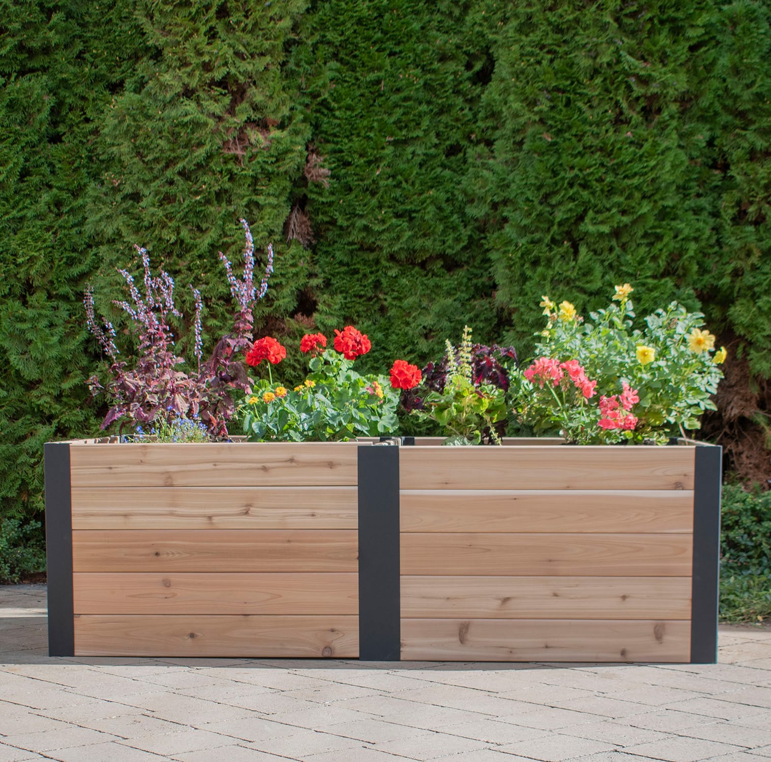 Outdoor Living Today 6 x 3 Foot Urban Cedar Raised Garden Bed
