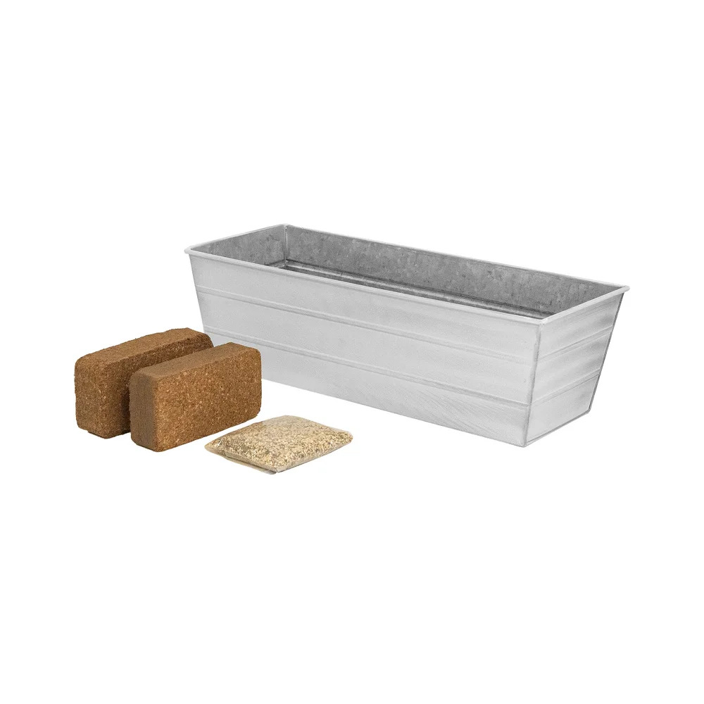 Achla 24 x 11 Inch Bloom Box Garden Growing Kit