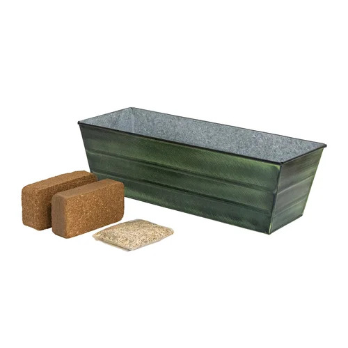 Achla 24 x 11 Inch Bloom Box Garden Growing Kit