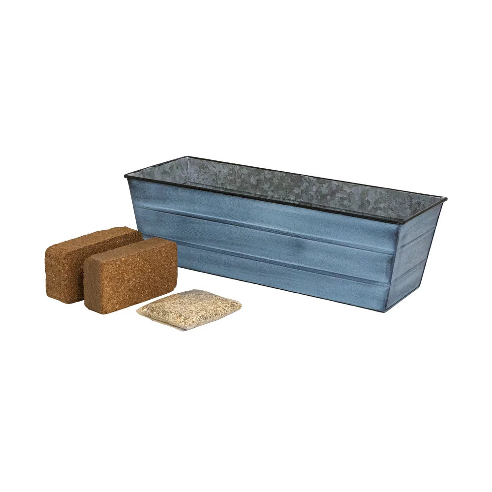 Achla 24 x 11 Inch Bloom Box Garden Growing Kit