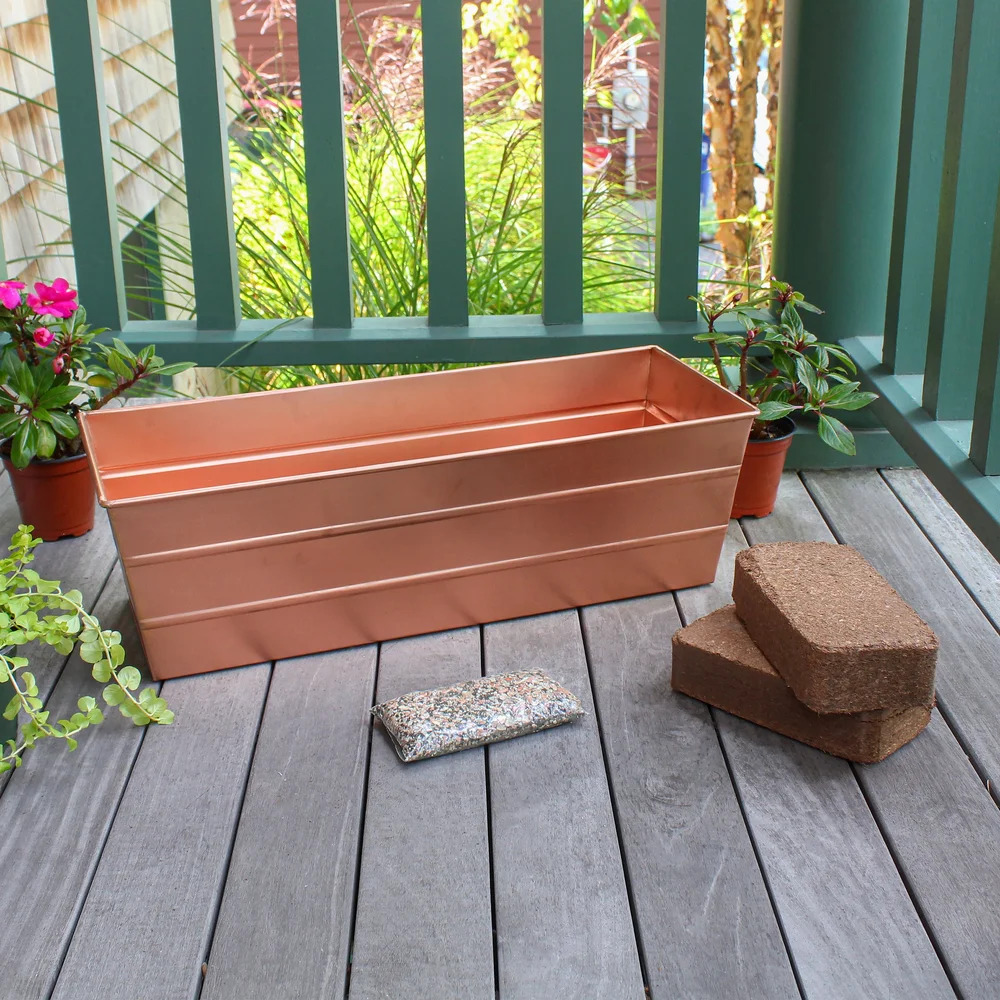 Achla 24 x 11 Inch Bloom Box Garden Growing Kit