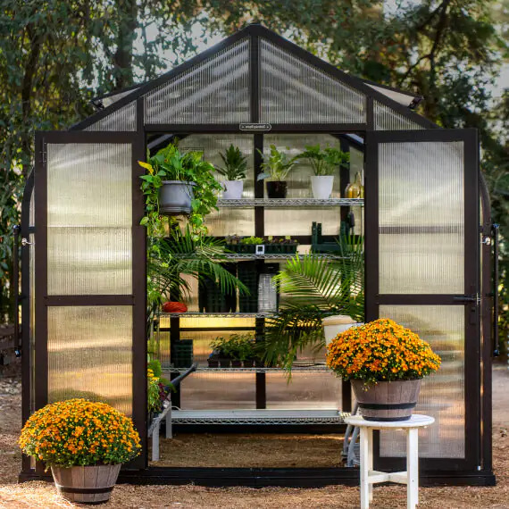 Vego Garden 8.5 x 12.5 Foot Pacific Greenhouse Kit