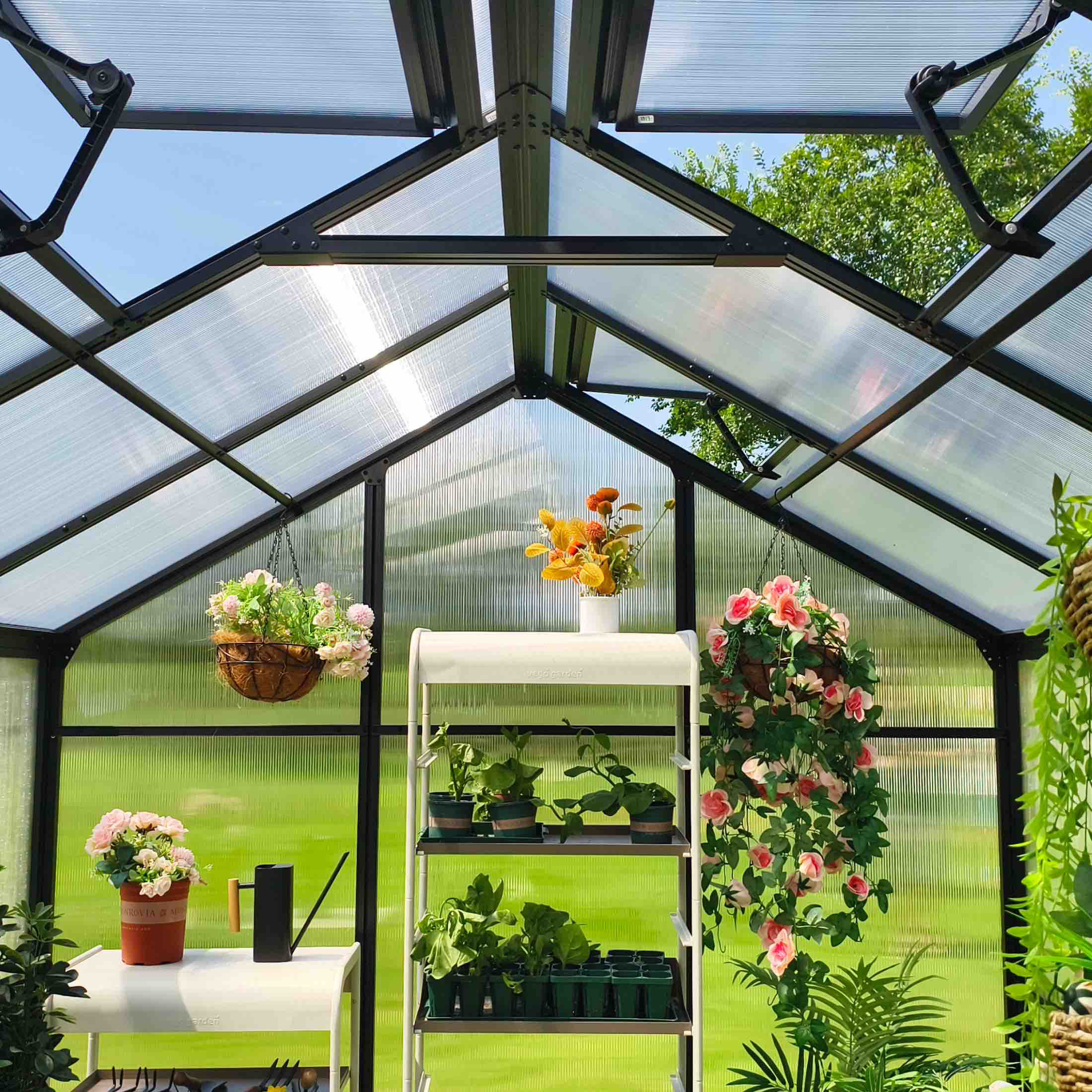 Vego Garden 8 x 8 Foot Junior Victorian Greenhouse