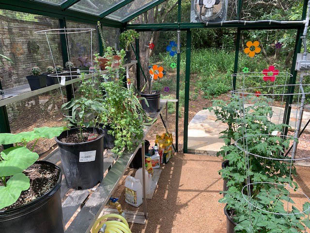 Janssens Double Sliding Door for Royal Victorian Greenhouses