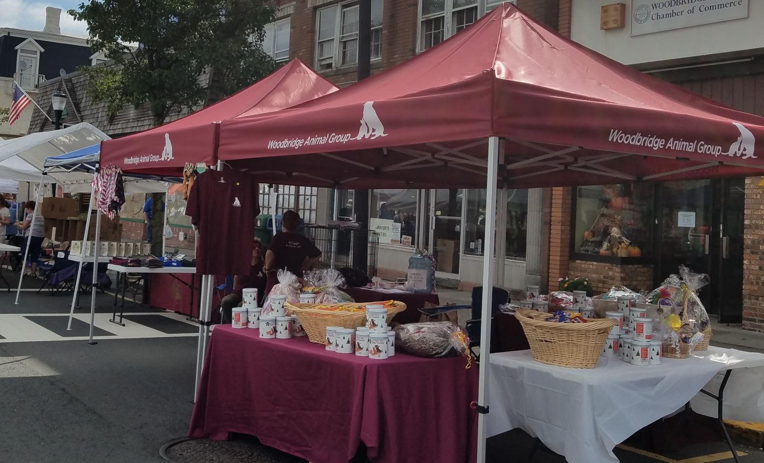 Caravan Aluma 10'x10' Canopy Frame