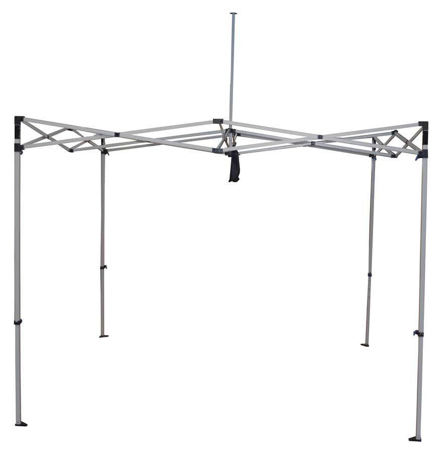 Caravan Classic 10 X 10 Canopy with Professional Top