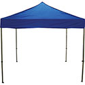 Celina 10 x 10 Fast Shade Pop Up Tent with Aluminum Frame