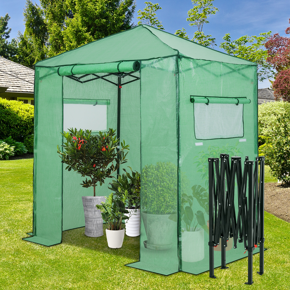 Eagle Peak 6 x 4 Foot Portable Walk-In Greenhouse