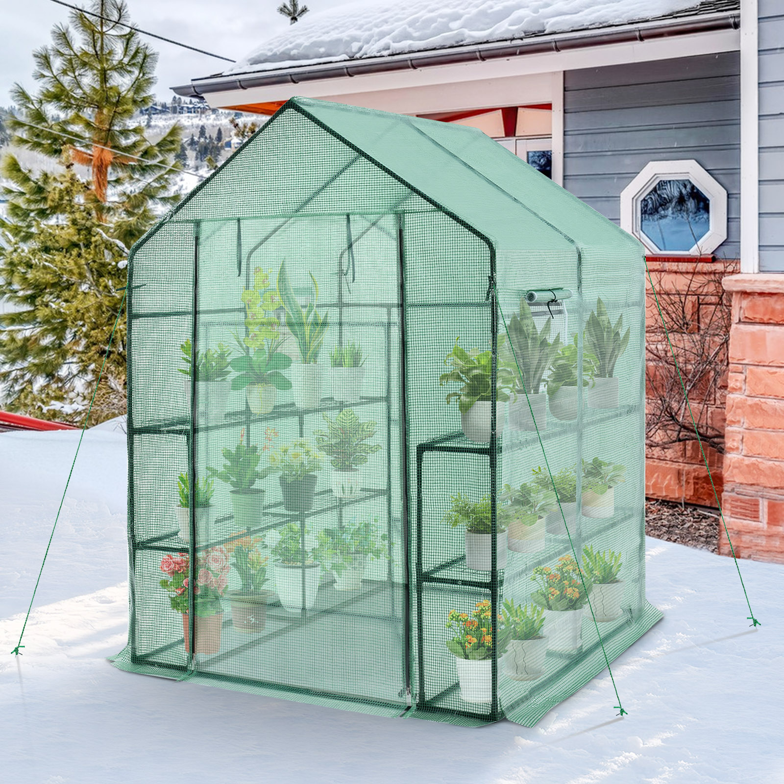 Costway 57 x 57 Inch Walk-In Greenhouse with Observation Windows