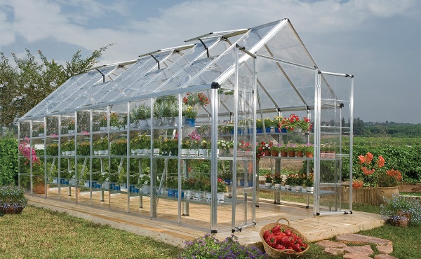 Palram - Canopia Snap & Grow 8 x 20 Hobby Greenhouse