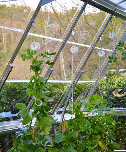 Palram - Canopia Pro Trellising Kit - 702420