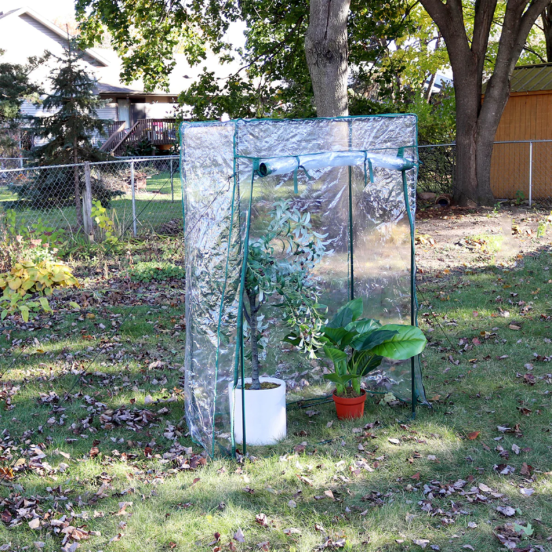 Sunnydaze Deluxe Potted Plant and Tomato Plant Greenhouse