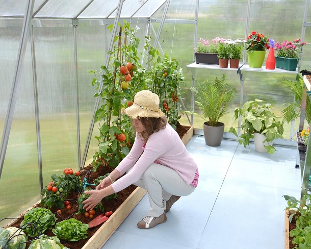 Canopia 8 x 16 Foot Essence Greenhouse Kit