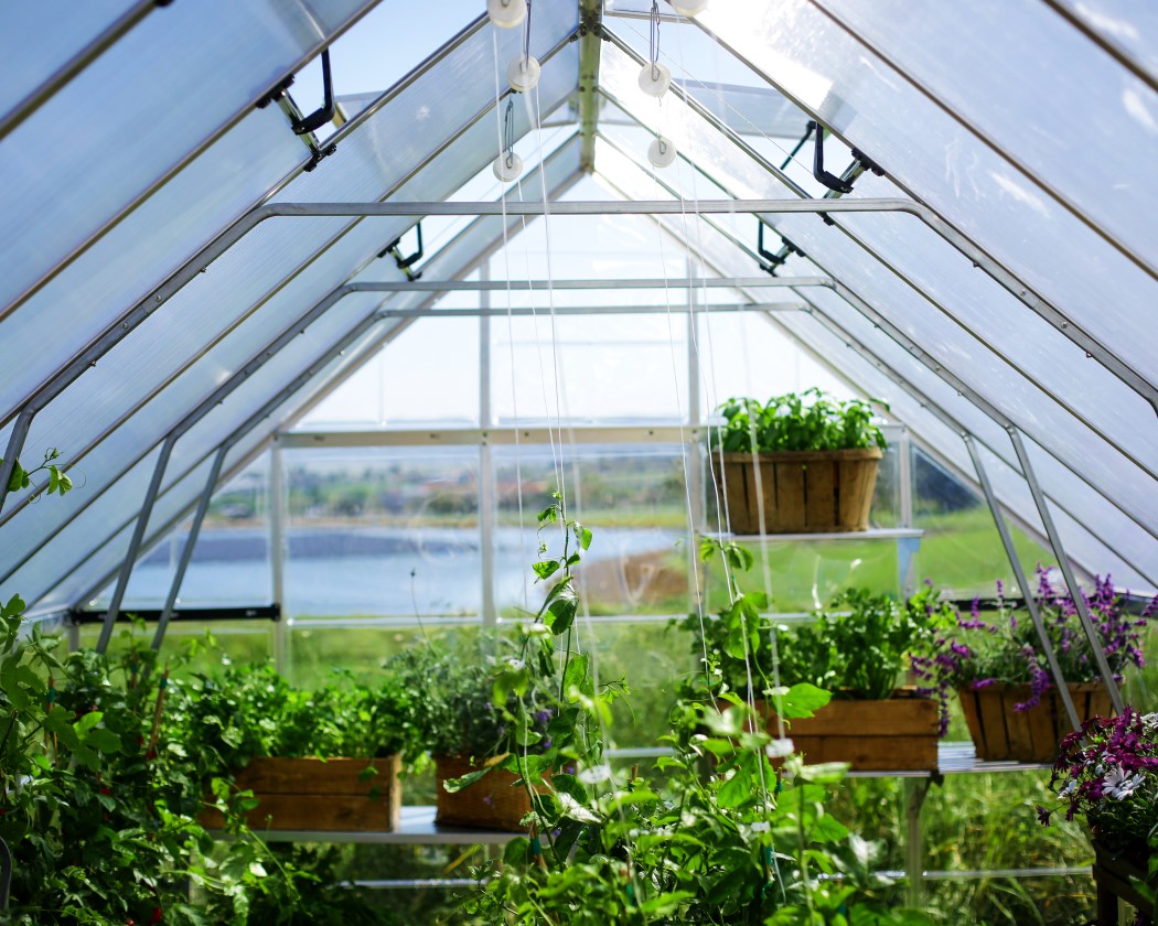 Palram - Canopia Balance 10 x 24 Foot Silver Greenhouse